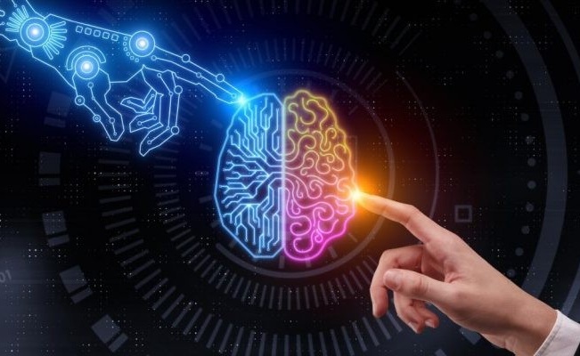 Information science studies and consultancy